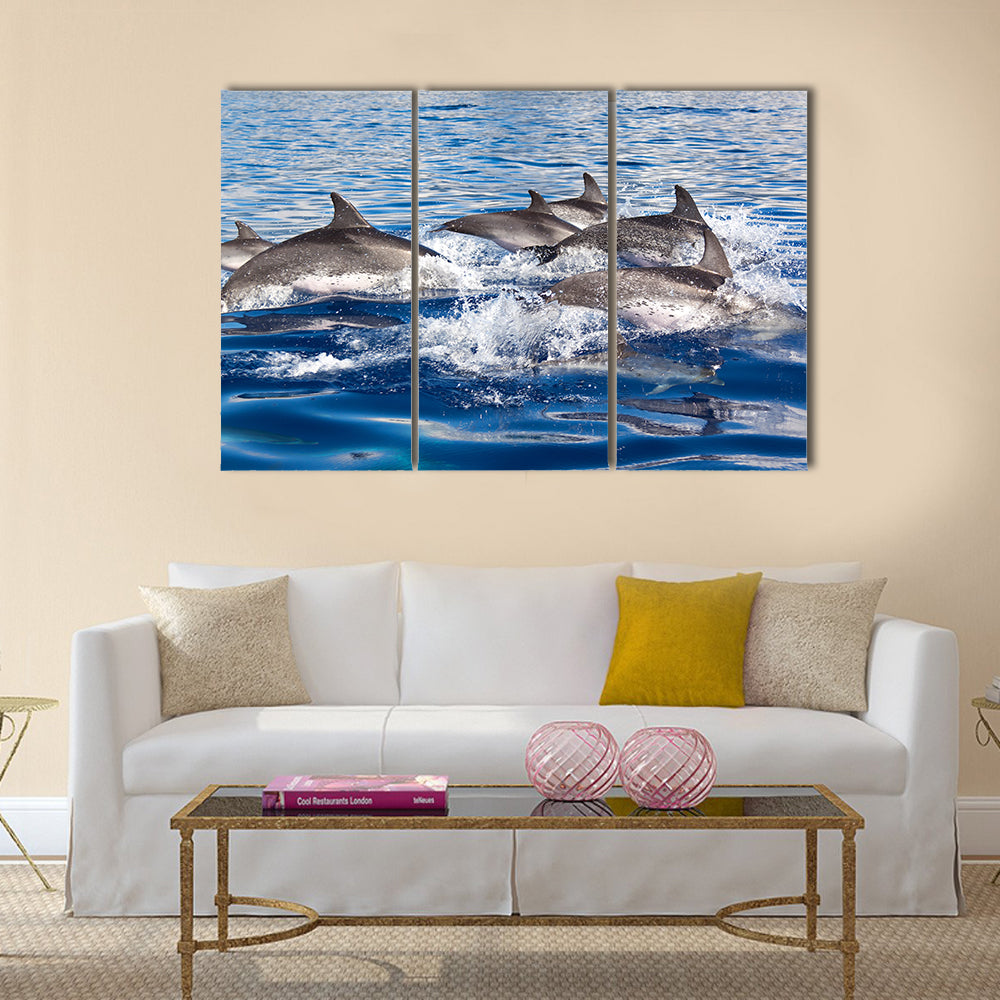 Group of dolphins at the Azores Multi Panel Canvas Wall Art
