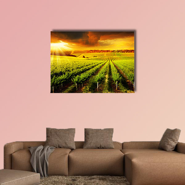 A Beautiful Sunset over a Barossa Vineyard multi panel canvas wall art