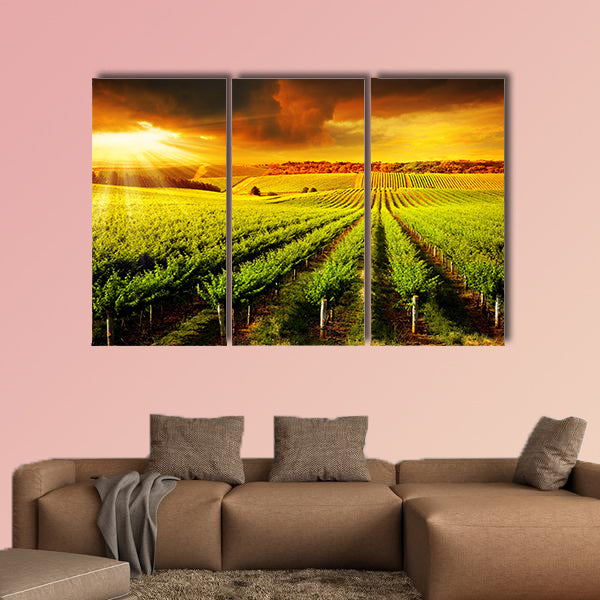 A Beautiful Sunset over a Barossa Vineyard multi panel canvas wall art