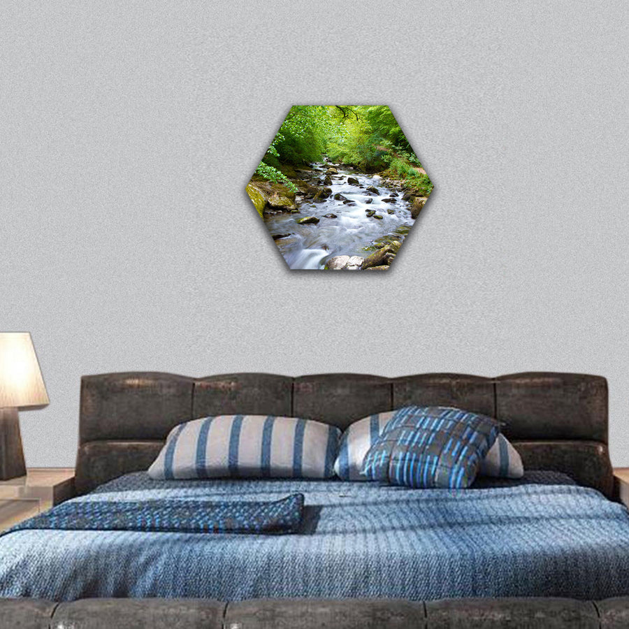 River Lyn Watersmeet near Lynton in Devon hexagonal canvas wall art