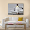 King Penguin walking on the beach. Multi Panel Canvas wall Art