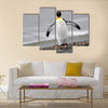 King Penguin walking on the beach. Multi Panel Canvas wall Art