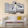 King Penguin walking on the beach. Multi Panel Canvas wall Art