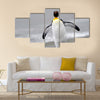 King Penguin walking on the beach. Multi Panel Canvas wall Art