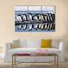 Group Adelie penguins going to the water. Multi Panel Canvas wall Art