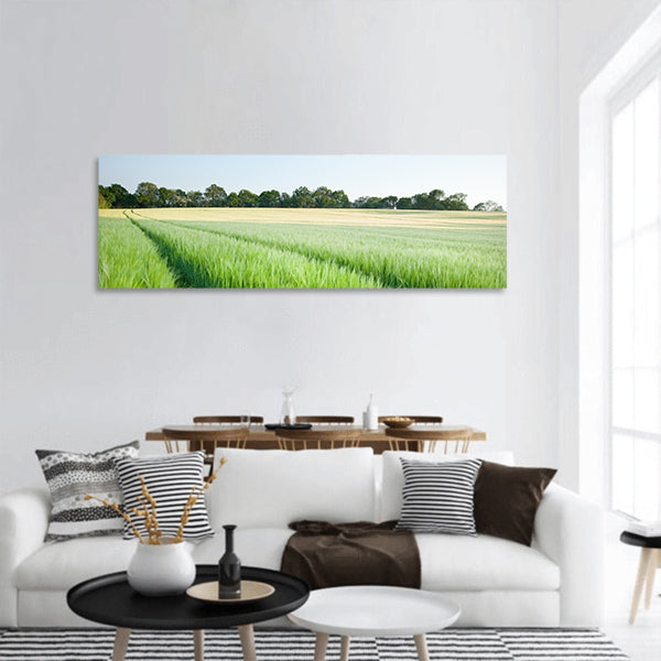Field on new green wheat at sunset in landscape panoramic canvas wall art