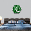 Pakistan flag hexagonal canvas wall art