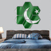 Pakistan flag hexagonal canvas wall art