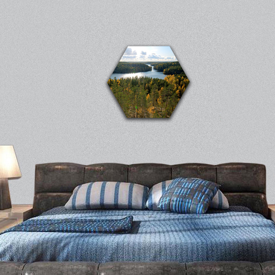 beautiful forest scenery hexagonal canvas wall art