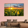 Field of blooming sunflowers on a background sunset Multi panel canvas wall art