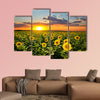 Field of blooming sunflowers on a background sunset Multi panel canvas wall art