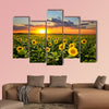 Field of blooming sunflowers on a background sunset Multi panel canvas wall art