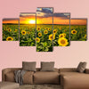 Field of blooming sunflowers on a background sunset Multi panel canvas wall art