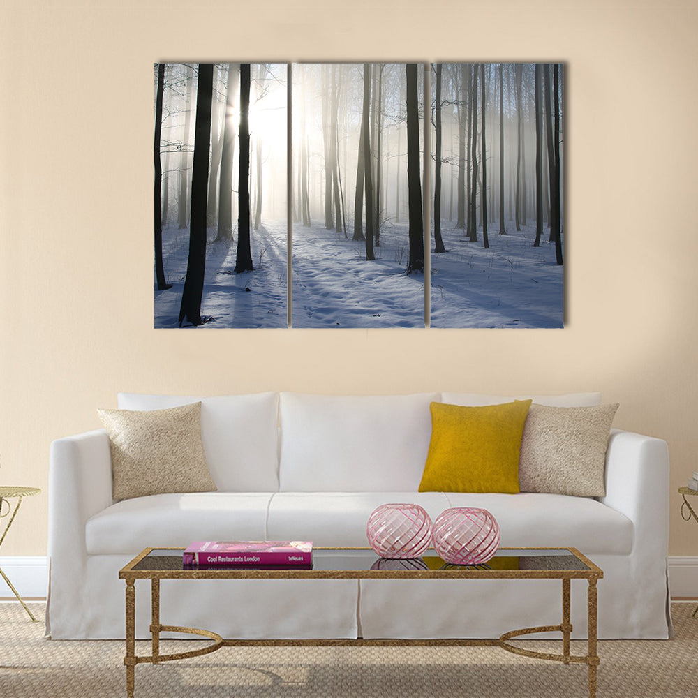 Path in the misty winter forest  multi panel canvas wall art