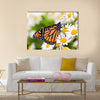 Colorful monarch butterfly sitting on chamomile flowers Multi Panel Canvas Wall Art