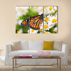 Colorful monarch butterfly sitting on chamomile flowers Multi Panel Canvas Wall Art