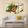 Colorful monarch butterfly sitting on chamomile flowers Multi Panel Canvas Wall Art