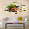 Colorful monarch butterfly sitting on chamomile flowers Multi Panel Canvas Wall Art