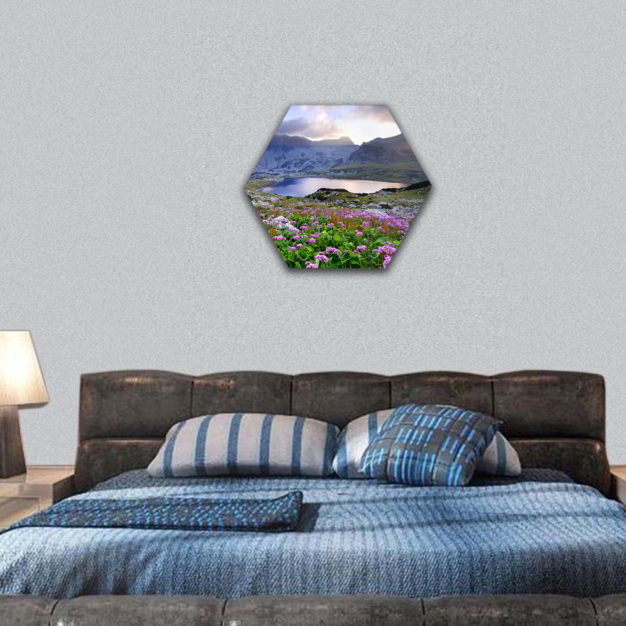 Retezat National Park with lake on mountain and flowers, hexagonal canvas wall art