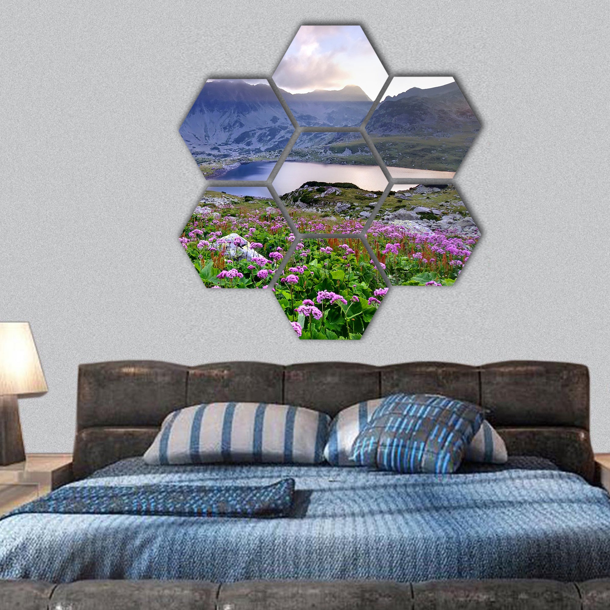 Retezat National Park with lake on mountain and flowers, hexagonal canvas wall art