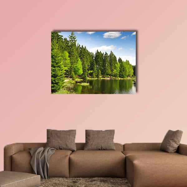 Small Arber Lake in National Park Bavarian Forest, Germany wall art