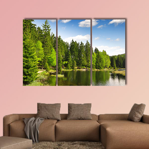 Small Arber Lake in National Park Bavarian Forest, Germany wall art