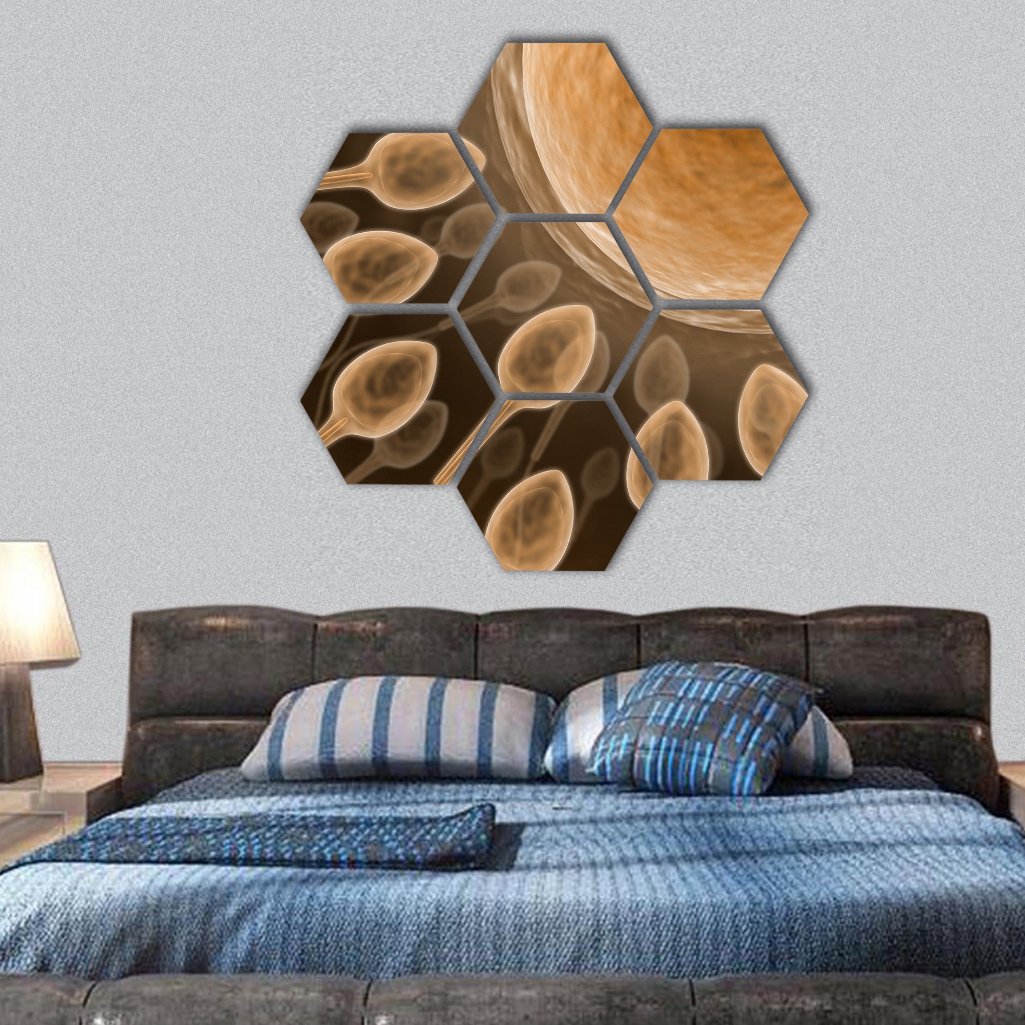 Fecundation of the spermatozoid with an ovum hexagonal canvas wall art