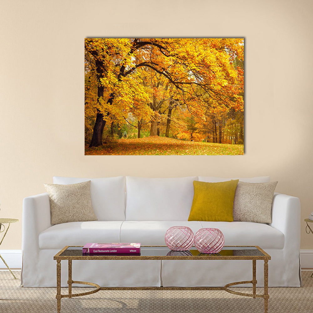 Autumn / Gold Trees in a park Multi panel canvas wall art