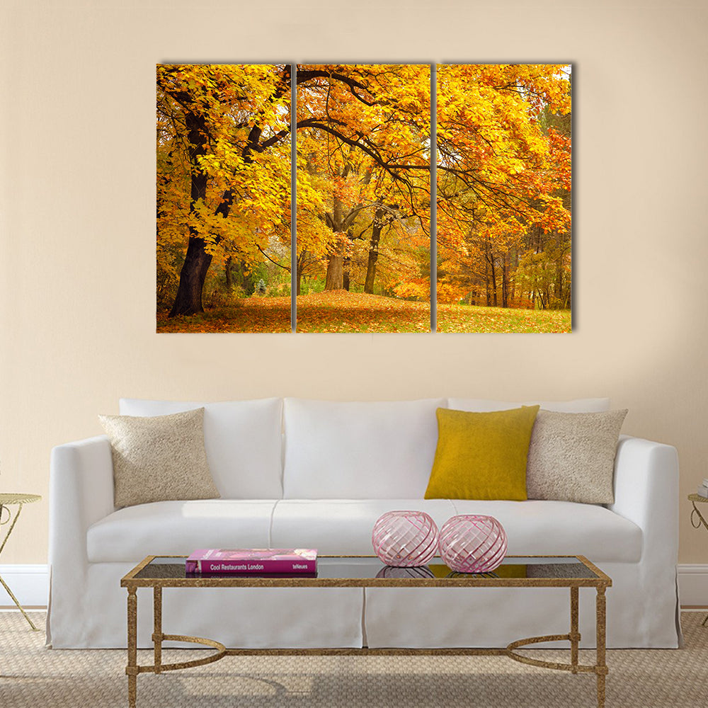 Autumn / Gold Trees in a park Multi panel canvas wall art
