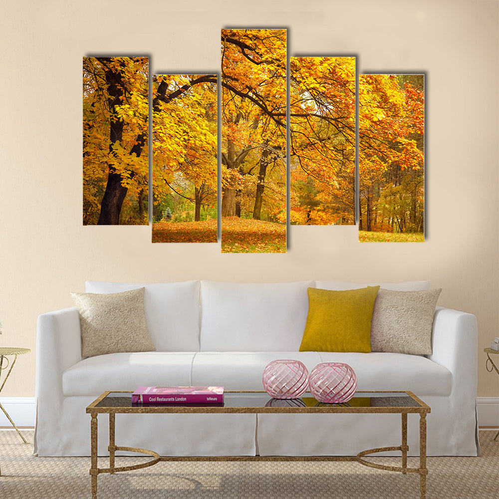 Autumn / Gold Trees in a park Multi panel canvas wall art