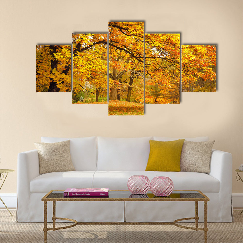 Autumn / Gold Trees in a park Multi panel canvas wall art