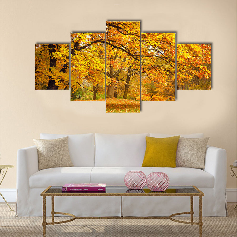 Autumn / Gold Trees in a park Multi panel canvas wall art