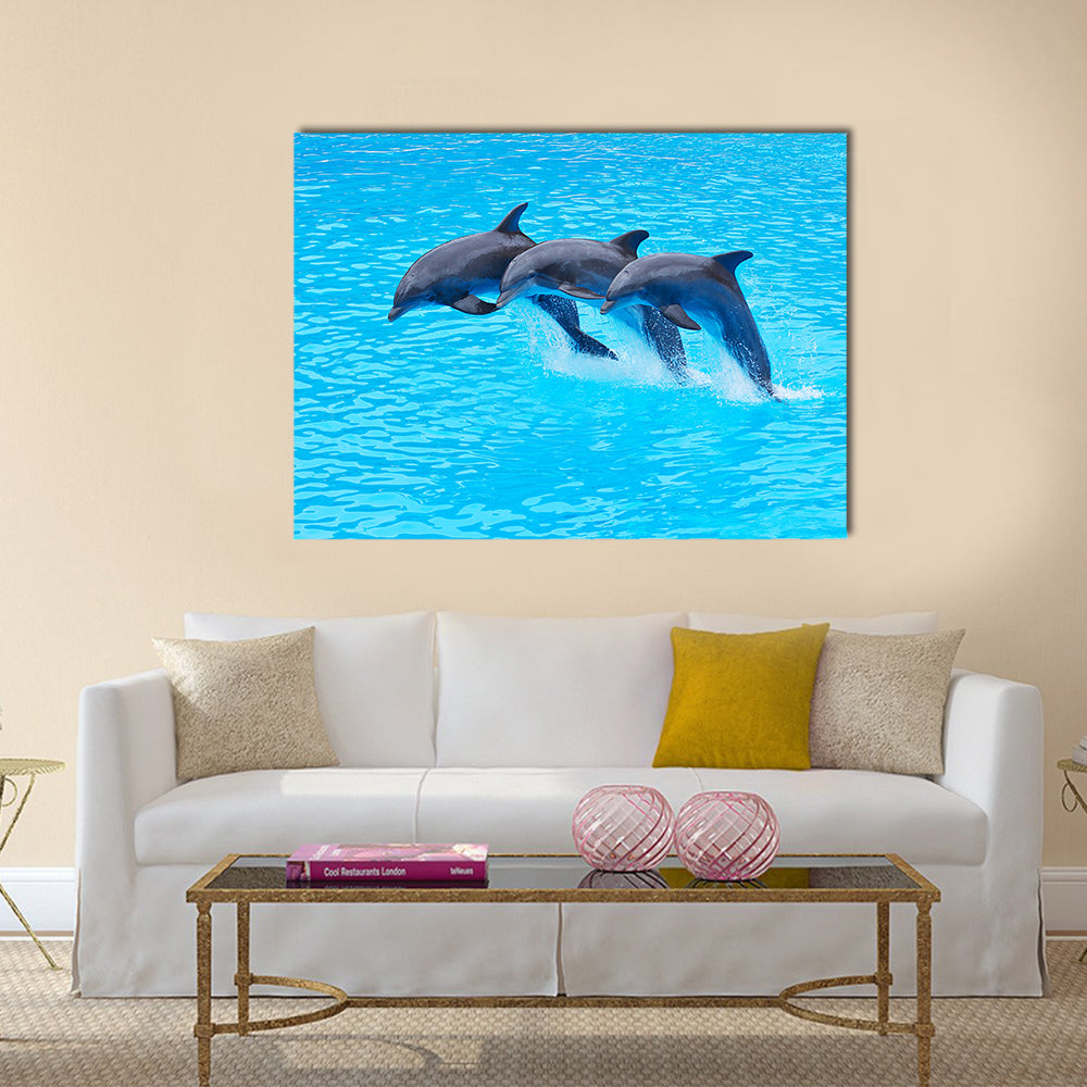 Three Bottlenose Dolphins, Tursiops truncatus, leaping in formation Multi Panel Canvas Wall Art