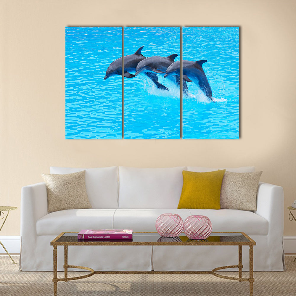 Three Bottlenose Dolphins, Tursiops truncatus, leaping in formation Multi Panel Canvas Wall Art