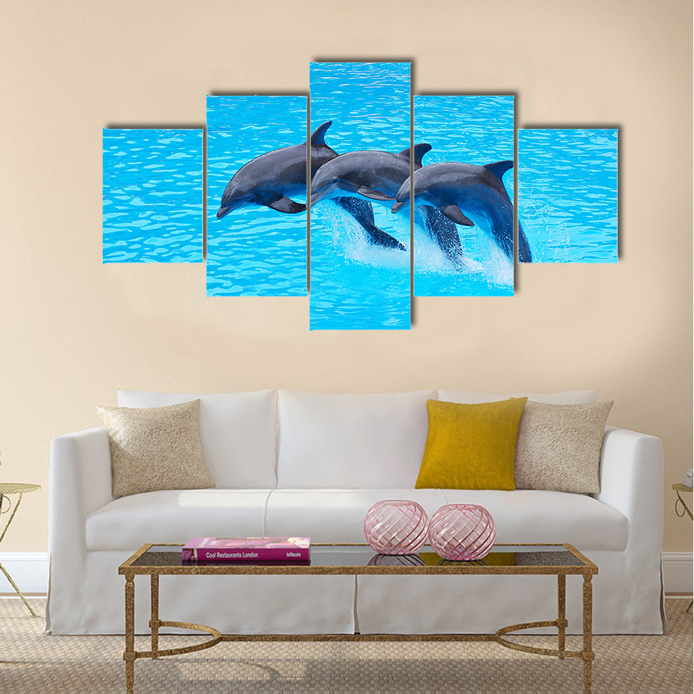 Three Bottlenose Dolphins, Tursiops truncatus, leaping in formation Multi Panel Canvas Wall Art