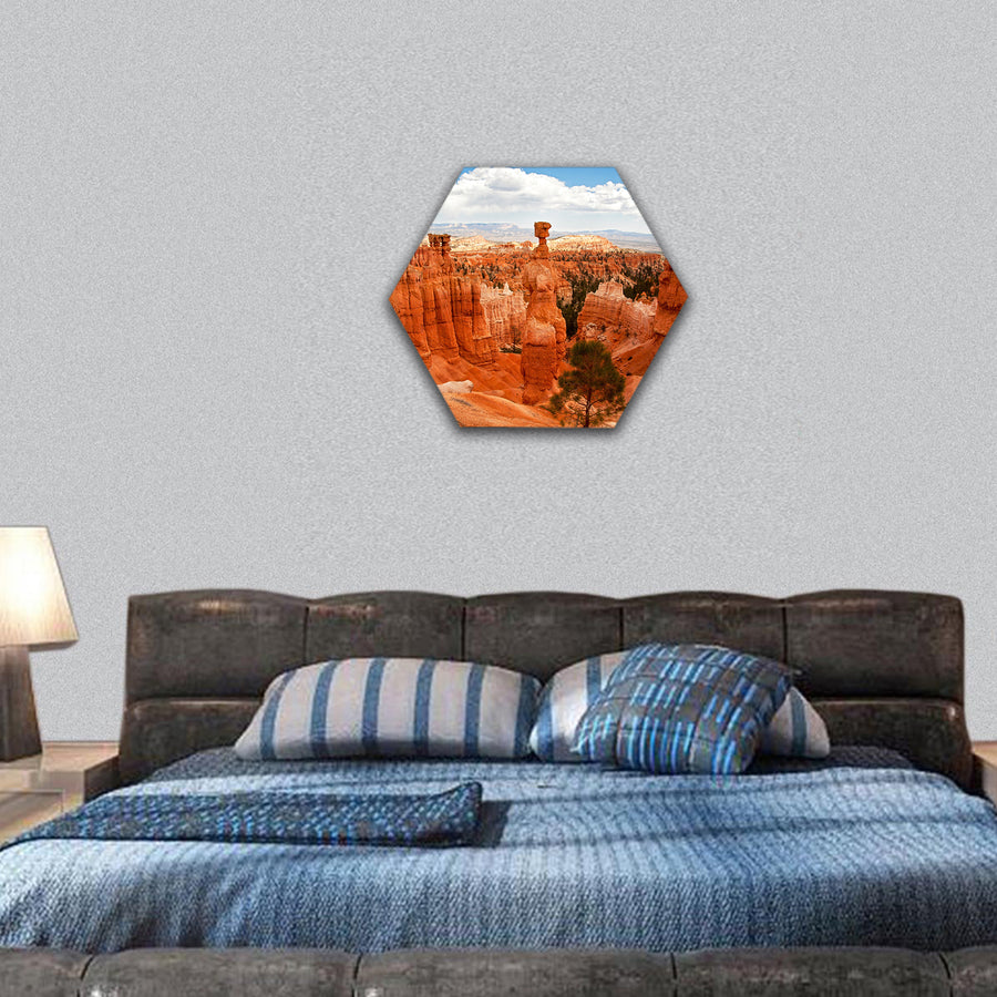 Thors Hammer, Bryce Canyon, Utah, USA hexagonal canvas wall art