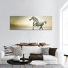 White horse in motion panoramic canvas wall art