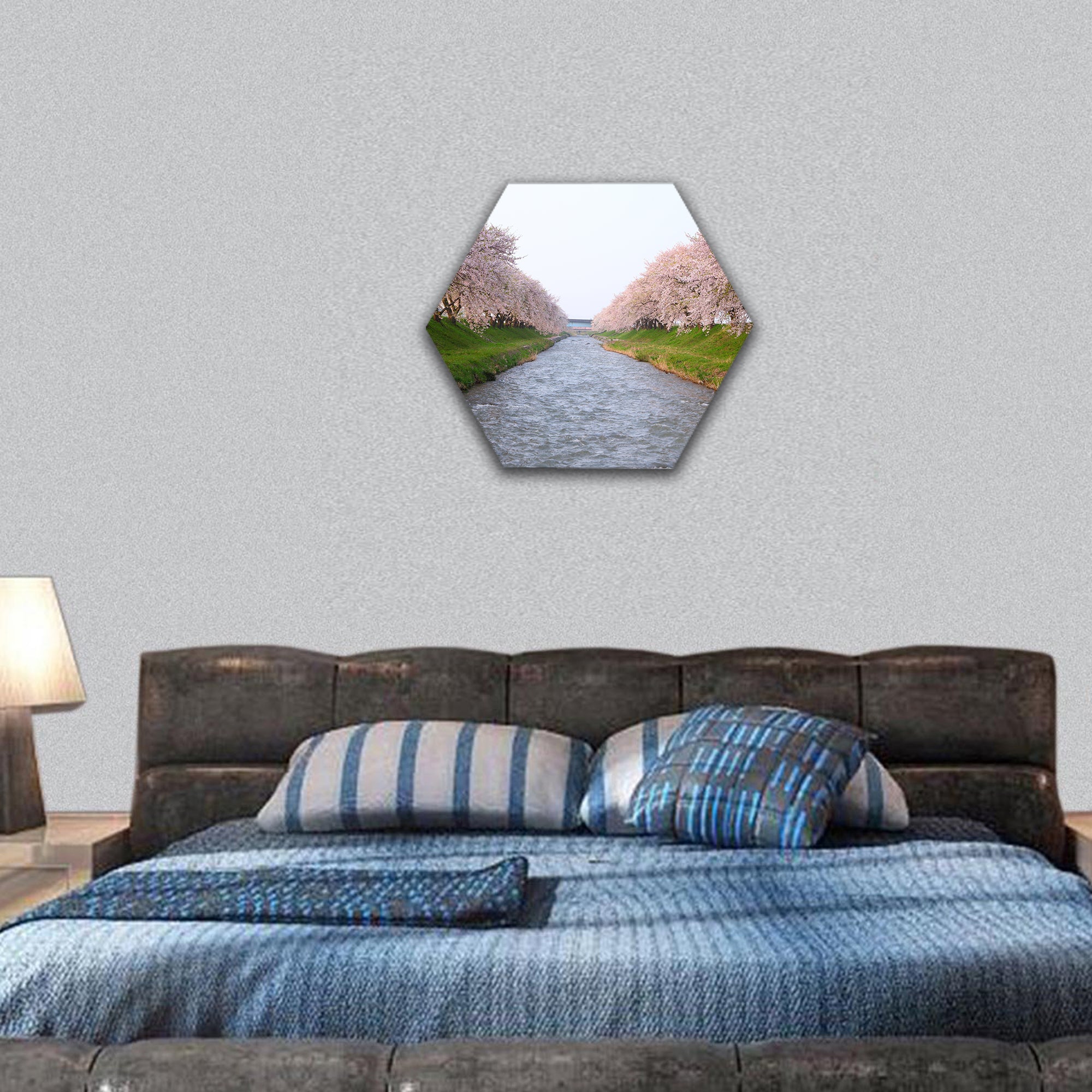 Cherry tree and river in spring, Toyama, Japan hexagonal canvas wall art