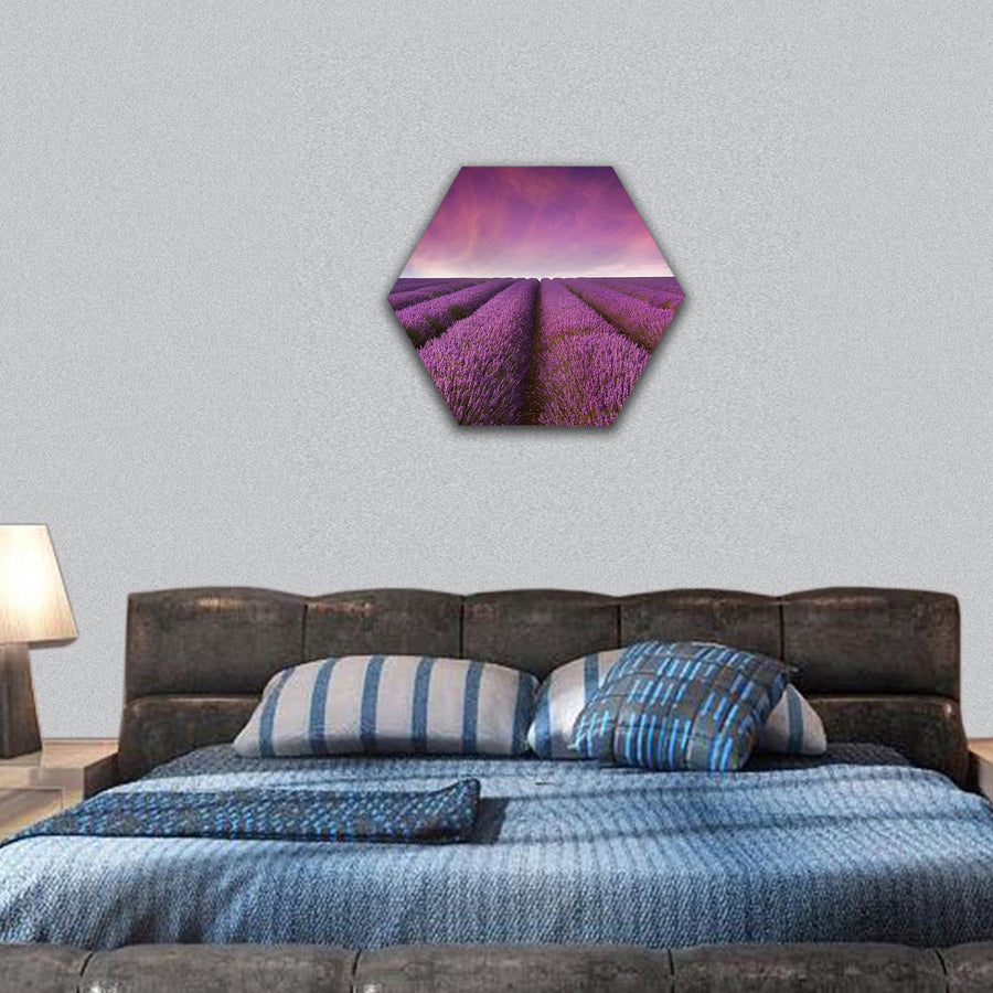 lavender field Summer sunset landscape hexagonal canvas wall art