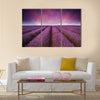 Beautiful lavender field Summer sunset landscape Multi panel canvas wall art