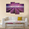 Beautiful lavender field Summer sunset landscape Multi panel canvas wall art