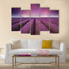 Beautiful lavender field Summer sunset landscape Multi panel canvas wall art