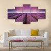 Beautiful lavender field Summer sunset landscape Multi panel canvas wall art