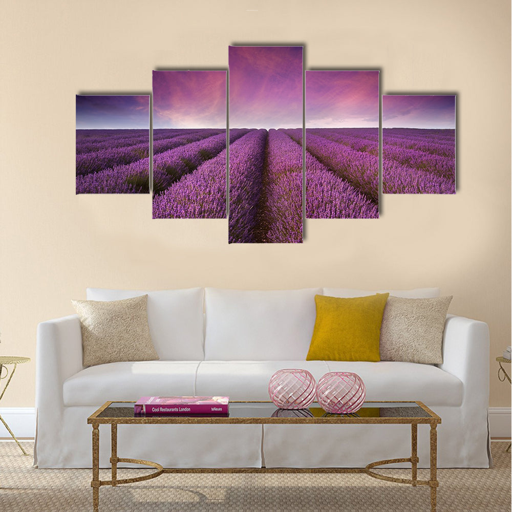 Beautiful lavender field Summer sunset landscape Multi panel canvas wall art