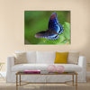 Red Spotted Purple butterfly resting on a leaf in Maryland Multi Panel Canvas Wall Art