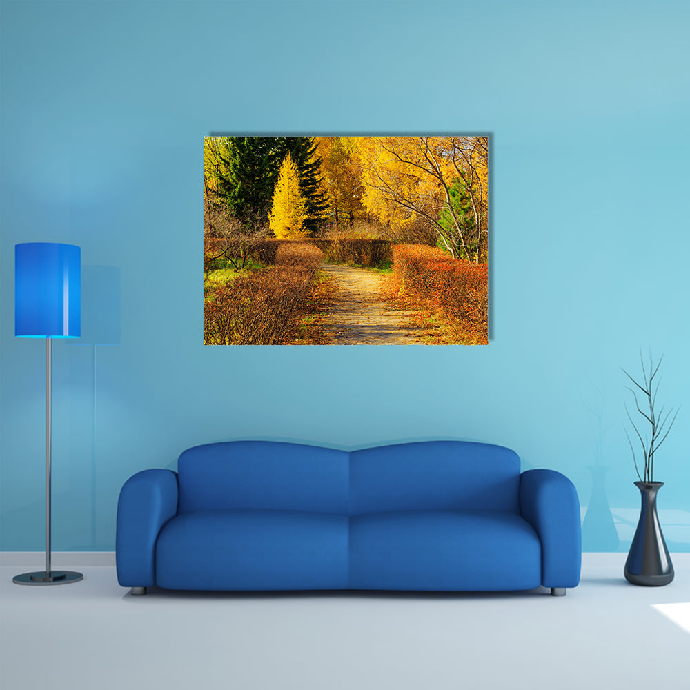 The Beauty Of The Colorful Leaves In Autumn Park Multi Panel Canvas Wall Art