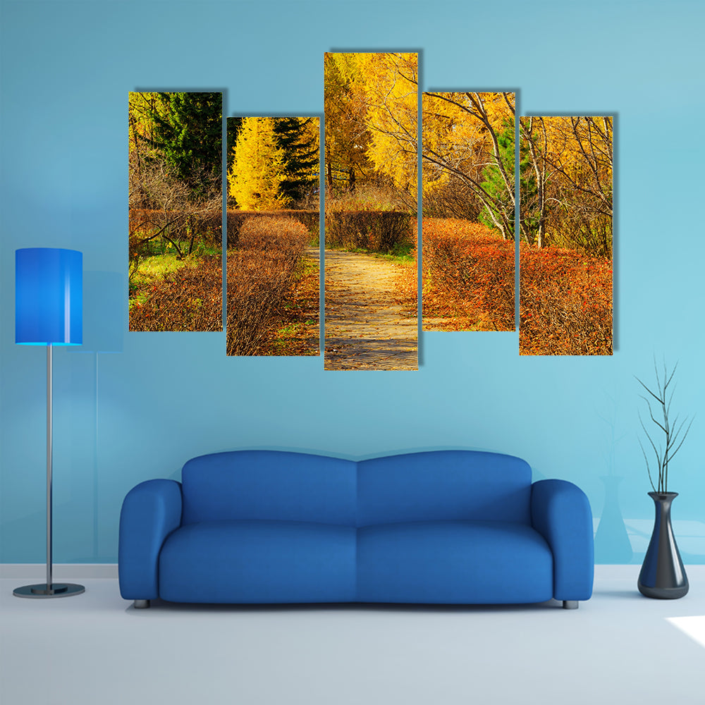 The Beauty Of The Colorful Leaves In Autumn Park Multi Panel Canvas Wall Art