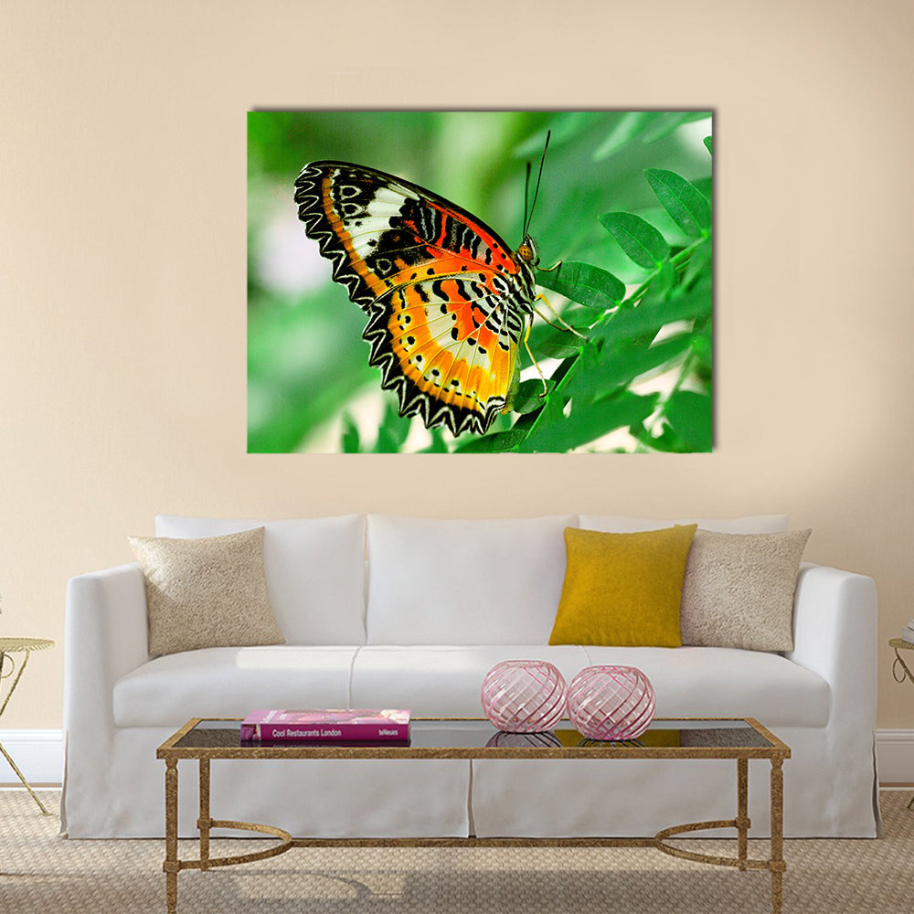 Beautiful butterfly with green background Multi Panel Canvas Wall Art