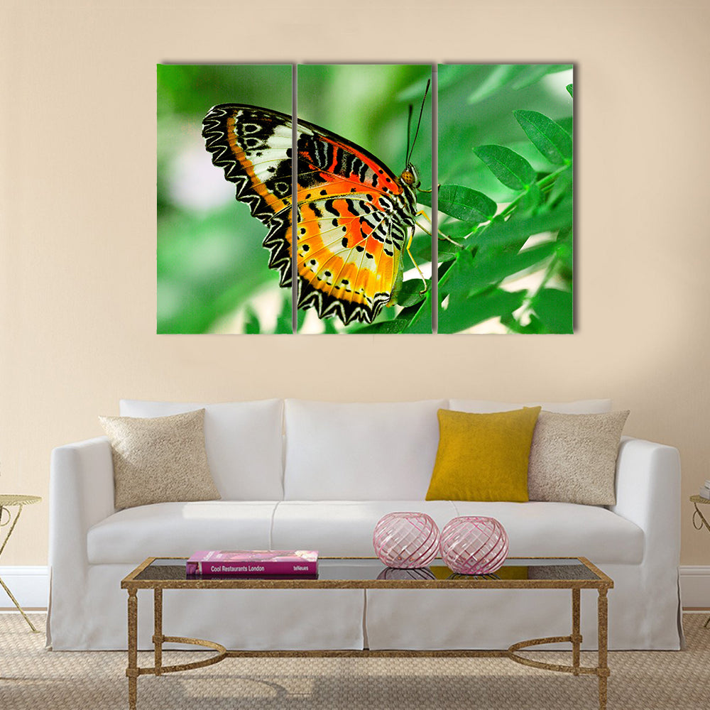 Beautiful butterfly with green background Multi Panel Canvas Wall Art