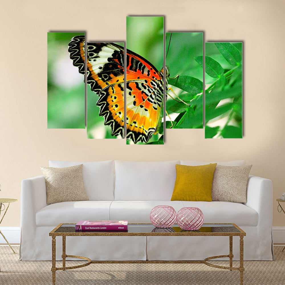 Beautiful butterfly with green background Multi Panel Canvas Wall Art